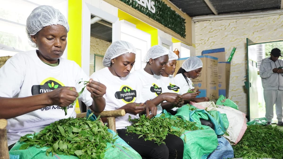 Fresh produce from Nyumbani Greens